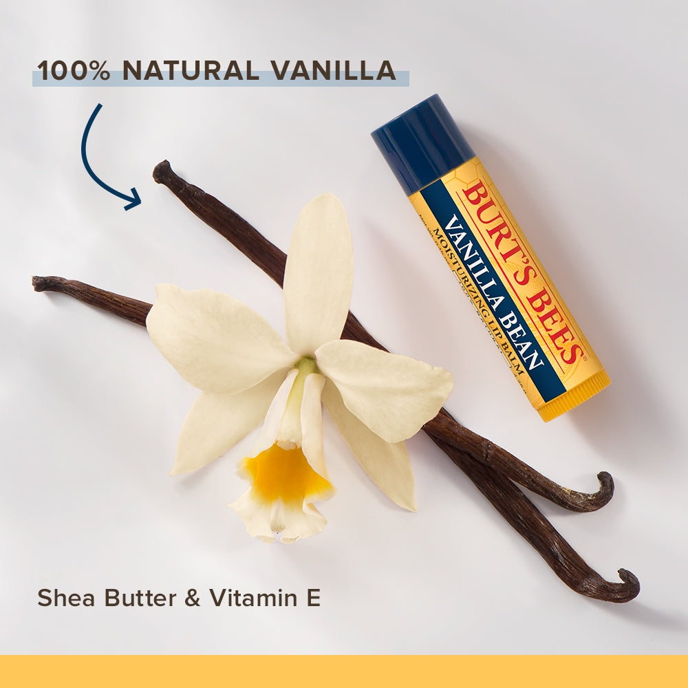 Wild Cherry/Vanilla Bean Lip Balm Twin Pack